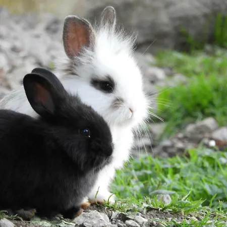 Ferienhaus Eggerhof -