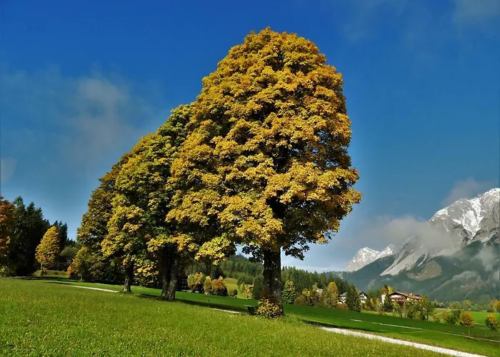 Eggerhof - * Ramsau am Dachstein